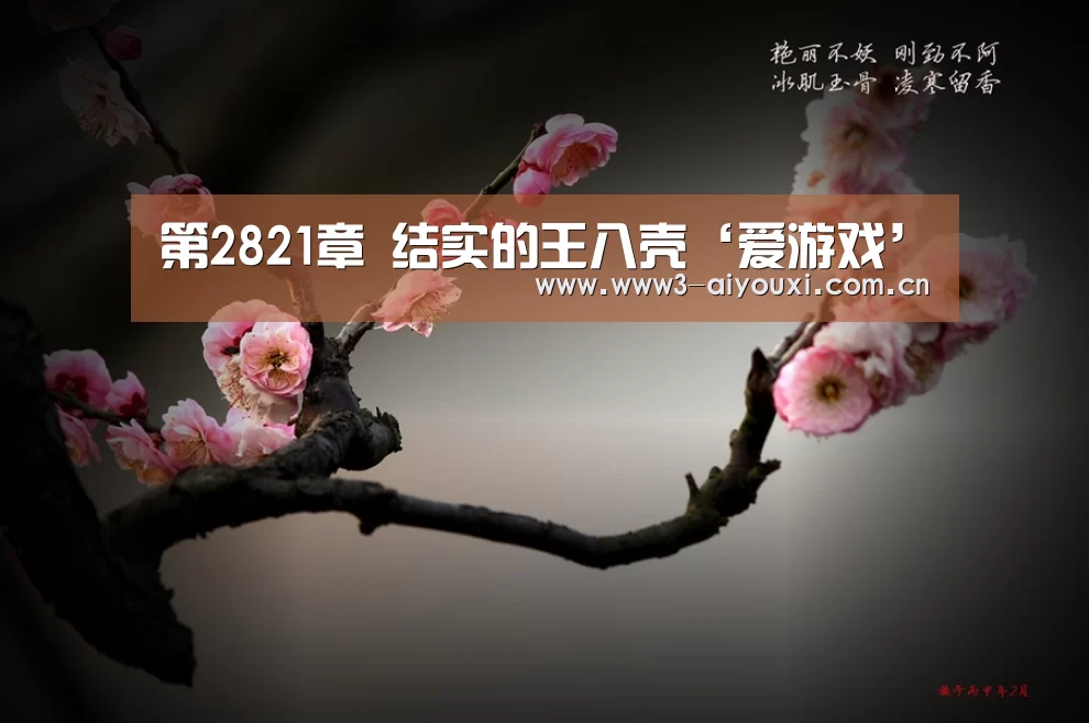 第2821章 结实的王八壳‘爱游戏’(图2) 爱游戏棋牌