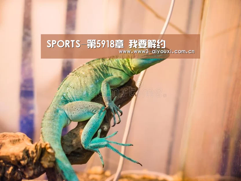 SPORTS-第5918章 我要解约(图1) 爱游戏娱乐